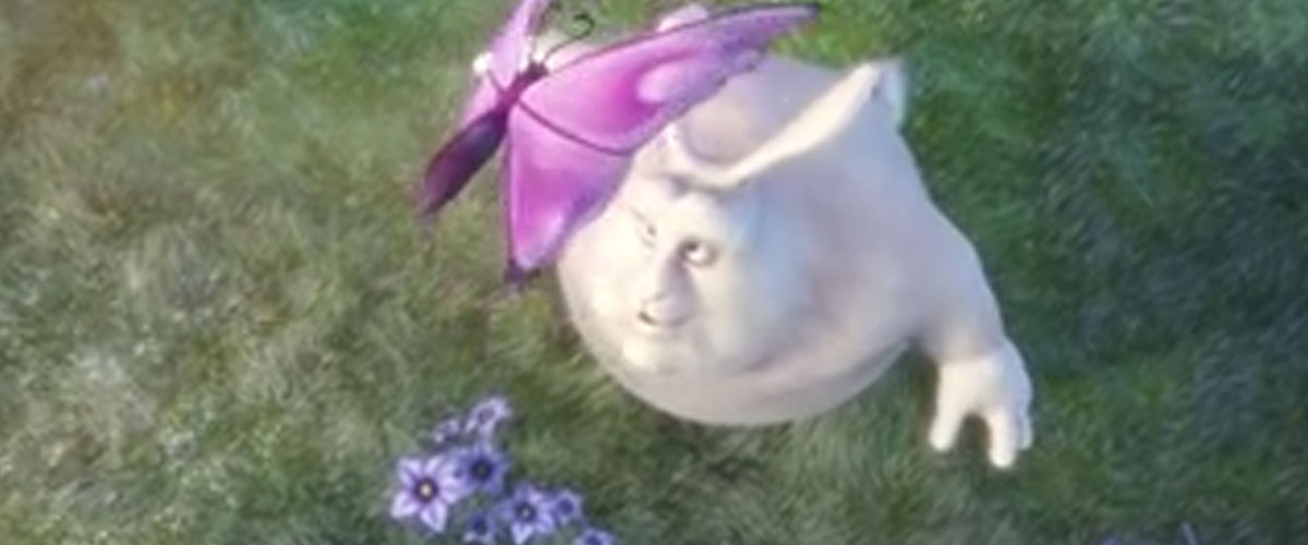 视频预览